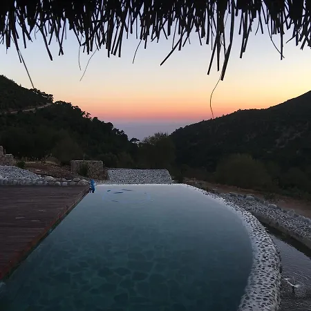 Ambar Ceviz Willa Sarıbelen